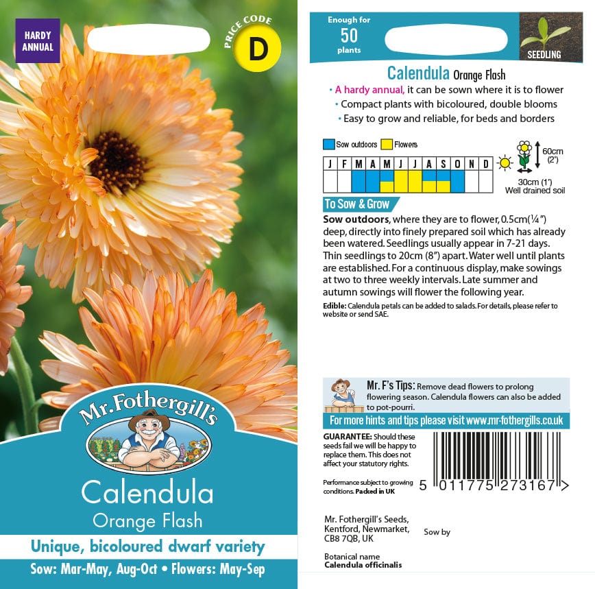 Calendula Orange Flash - Image 2