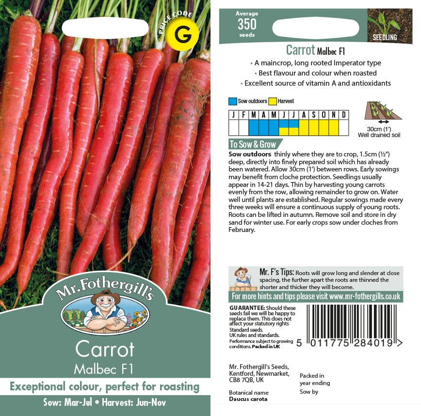 Carrot Malbec F1 - Image 2