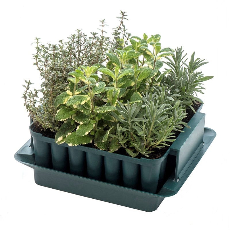 Compact Plug Plant Trainer - Image 2
