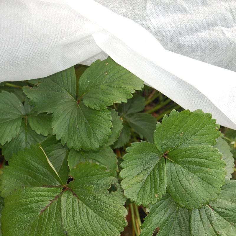 Envirofleece 30g Frost Plant Protection (2.4 x 5m) - Image 2