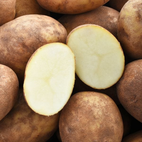 Golden Wonder Potato Late Maincrop 1kg - Image 2