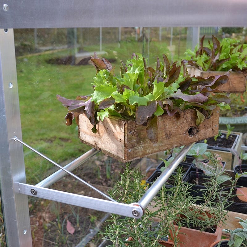 Growhouse - Image 2