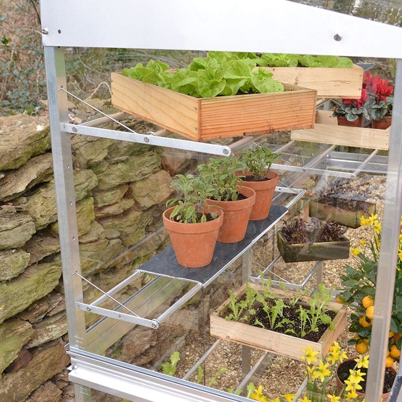 Growhouse - Image 5