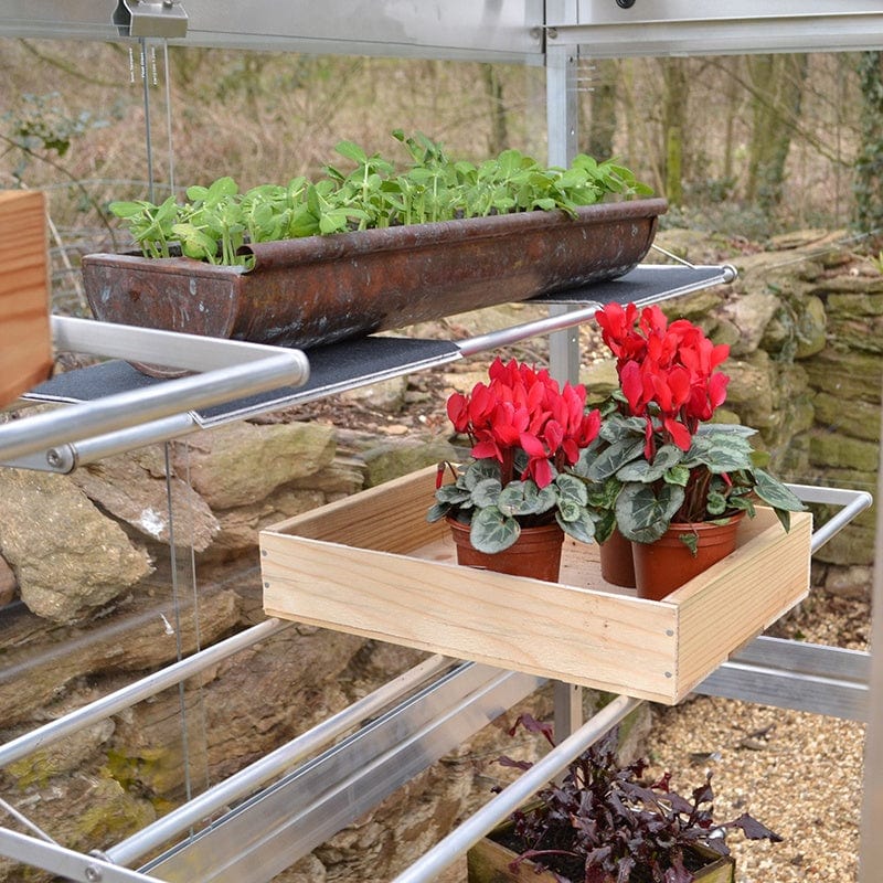 Growhouse - Image 6