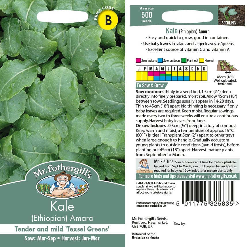 Kale (Ethiopian) Amara Vegetable Seeds - Image 2