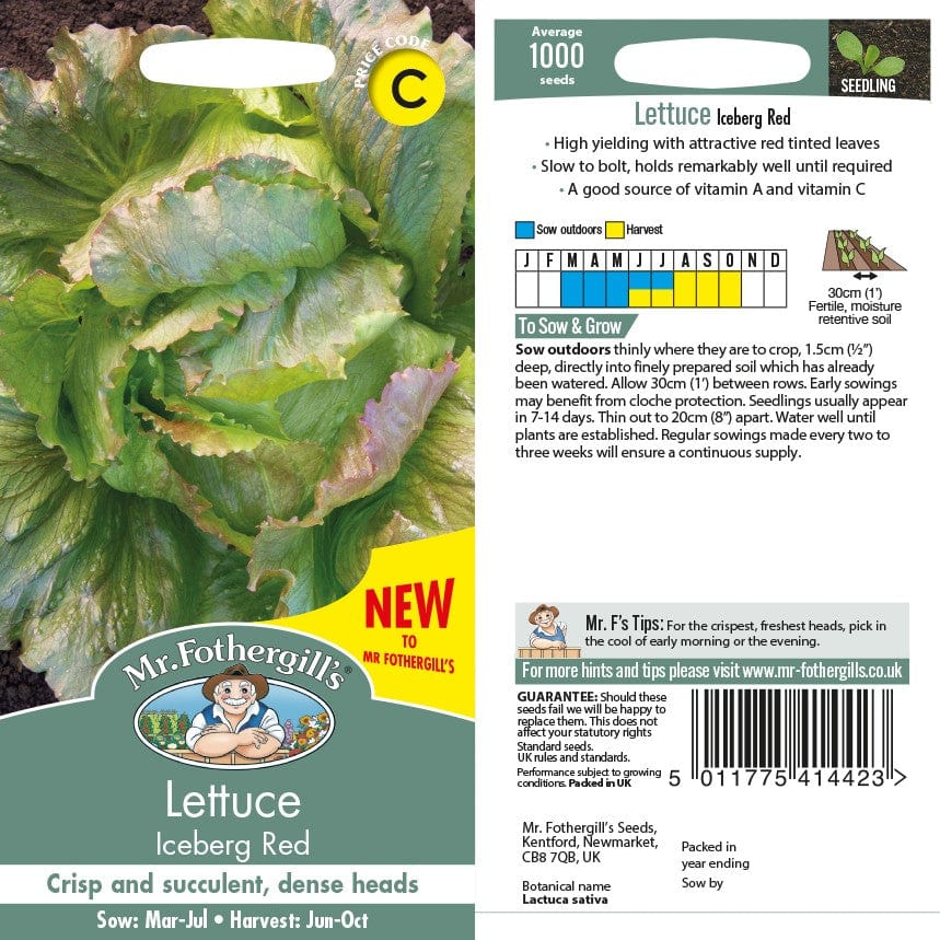 Lettuce Iceberg Red Seeds - Image 2