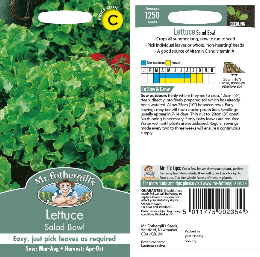 Lettuce Salad Bowl Seeds - Image 2