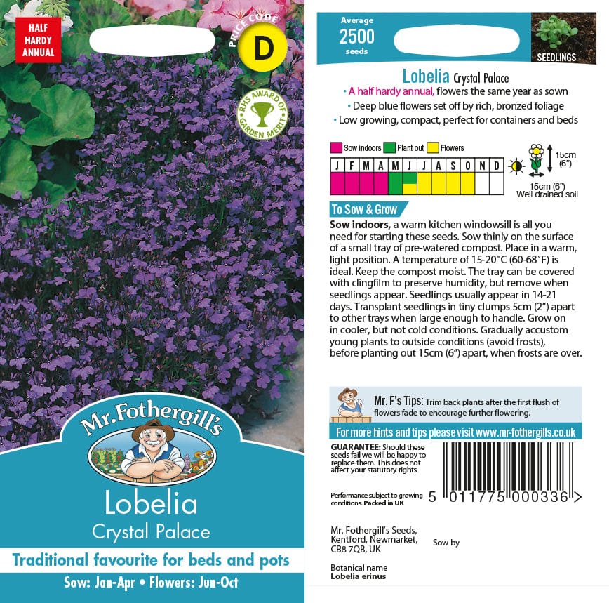 Lobelia Crystal Palace Seeds - Image 2