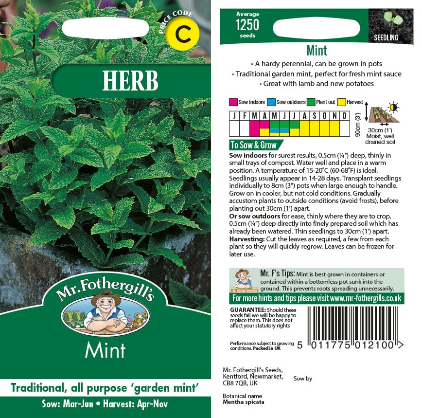 Mint Seeds - Image 2