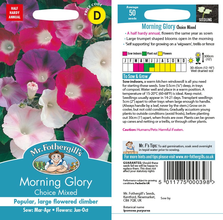 Morning Glory Choice Mixed - Image 2