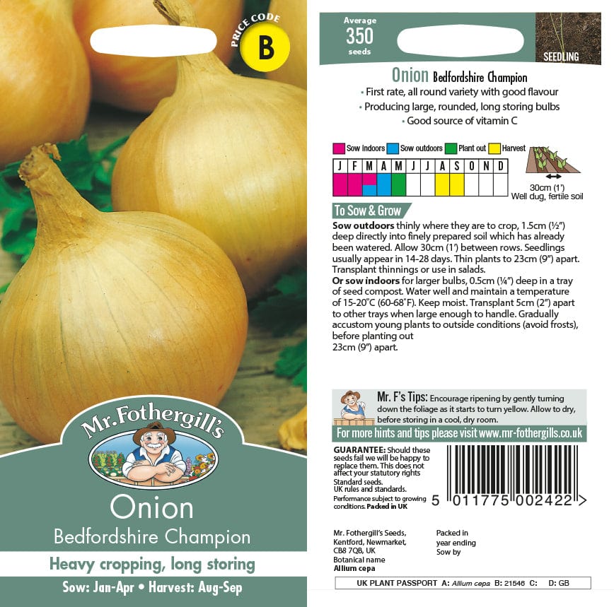 Onion Bedfordshire Champion Seeds - Image 2
