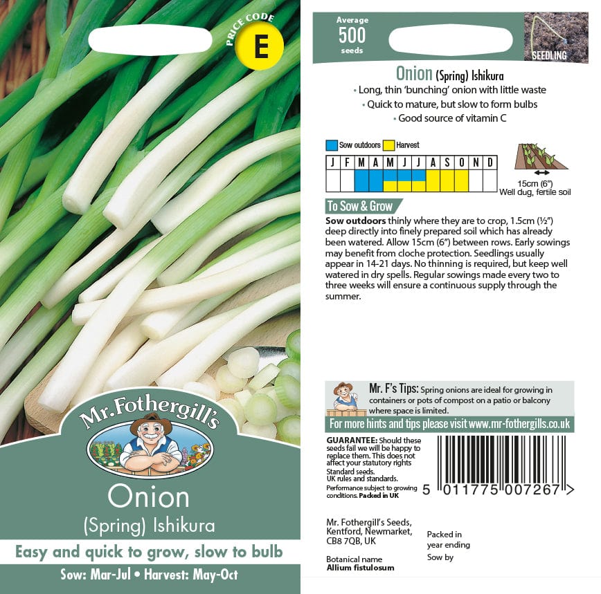 Onion (Spring) Ishikura Seeds - Image 2