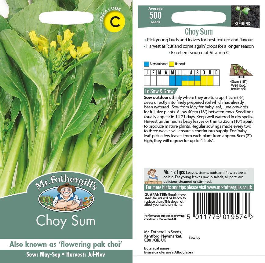 Oriental Veg Choy Sum Seeds - Image 2