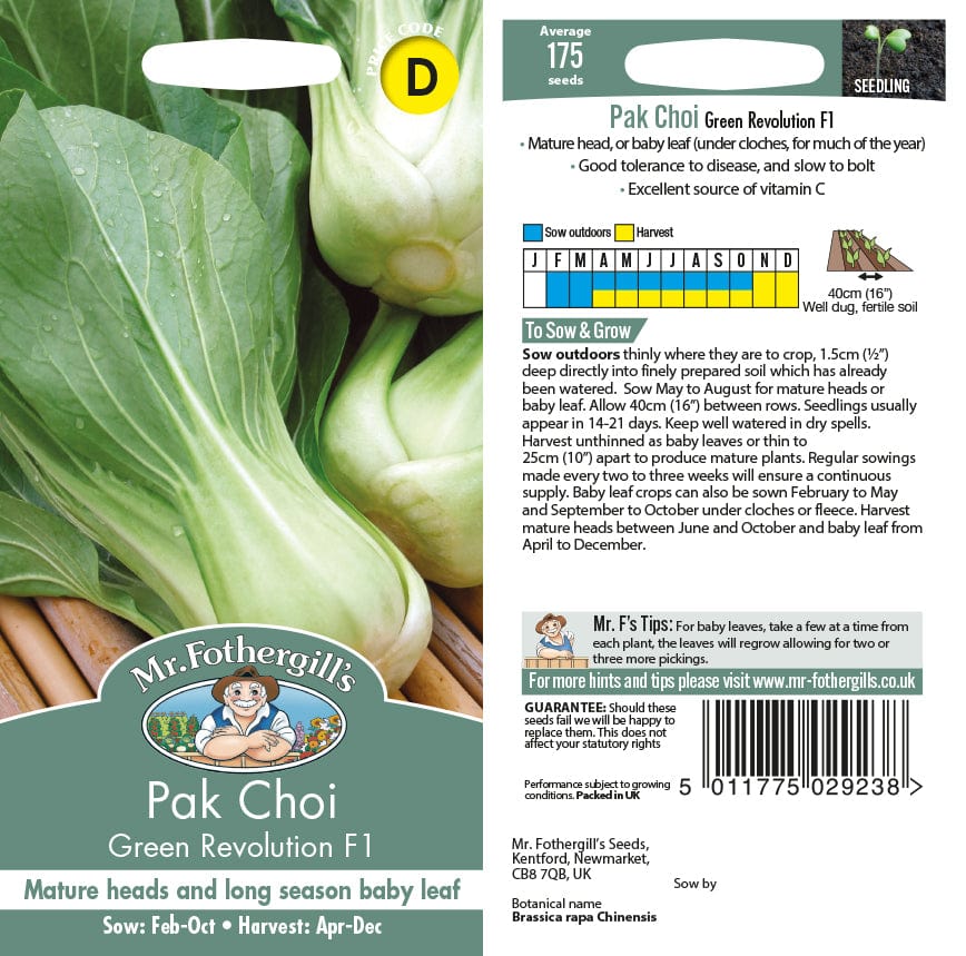 Pak Choi Green Revolution F1 Seeds - Image 2