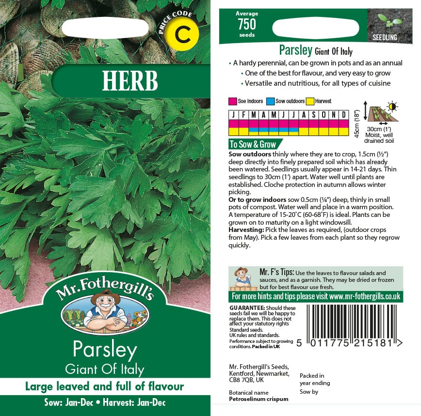 Parsley Giant of Italy Seeds - Image 2
