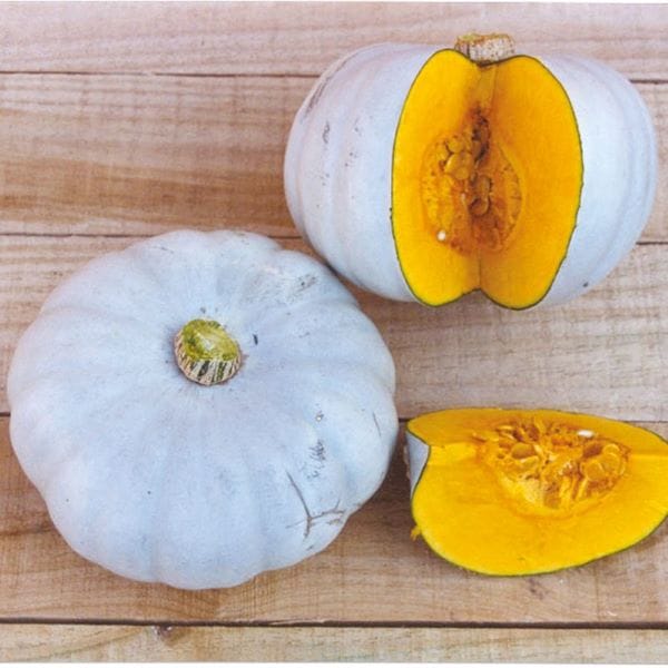 Pumpkin Veg Plant Collection - Image 3