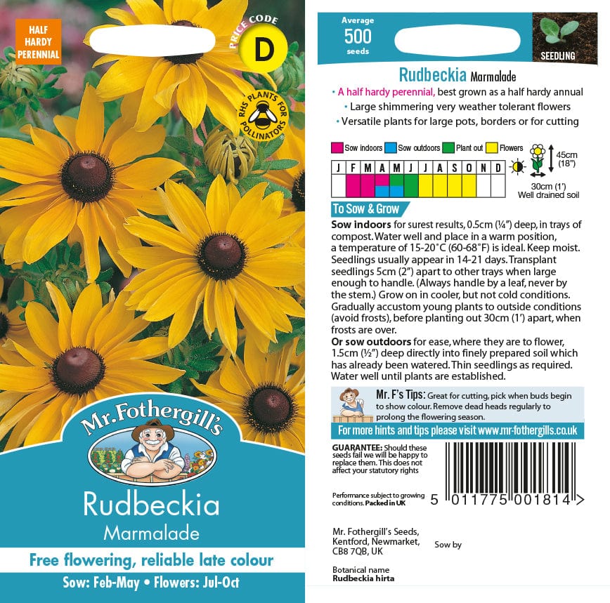 Rudbeckia Marmalade Seeds - Image 2