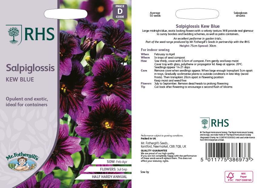 Salpiglossis Kew Blue Flower Seeds - Image 2