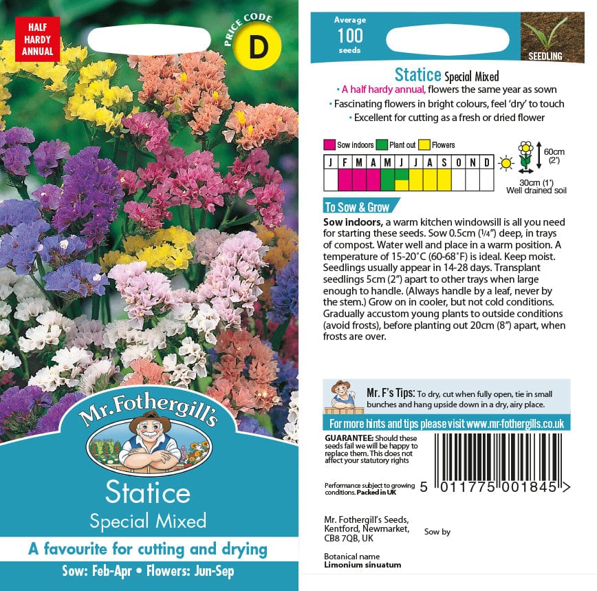 Statice Special Mixed Seeds - Image 2