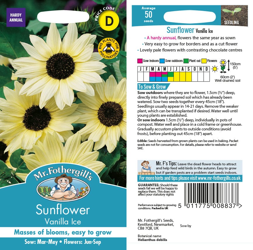 Sunflower Vanilla Ice Seeds - Image 2