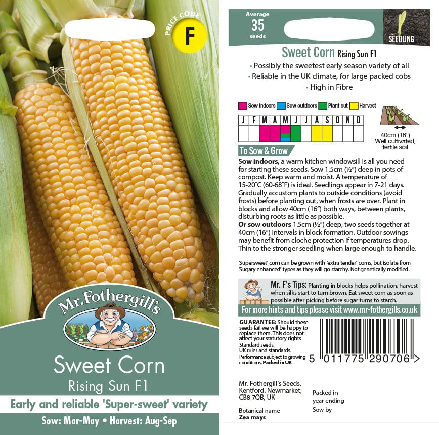 Sweet Corn Rising Sun F1 Vegetable Seeds - Image 2