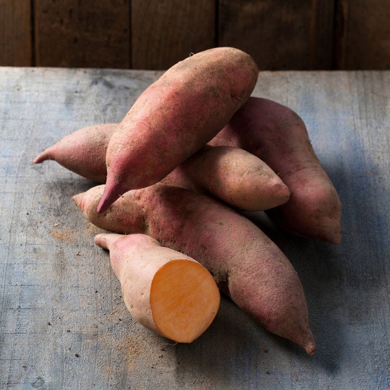 Sweet Potato Erato Vineland Early Orange