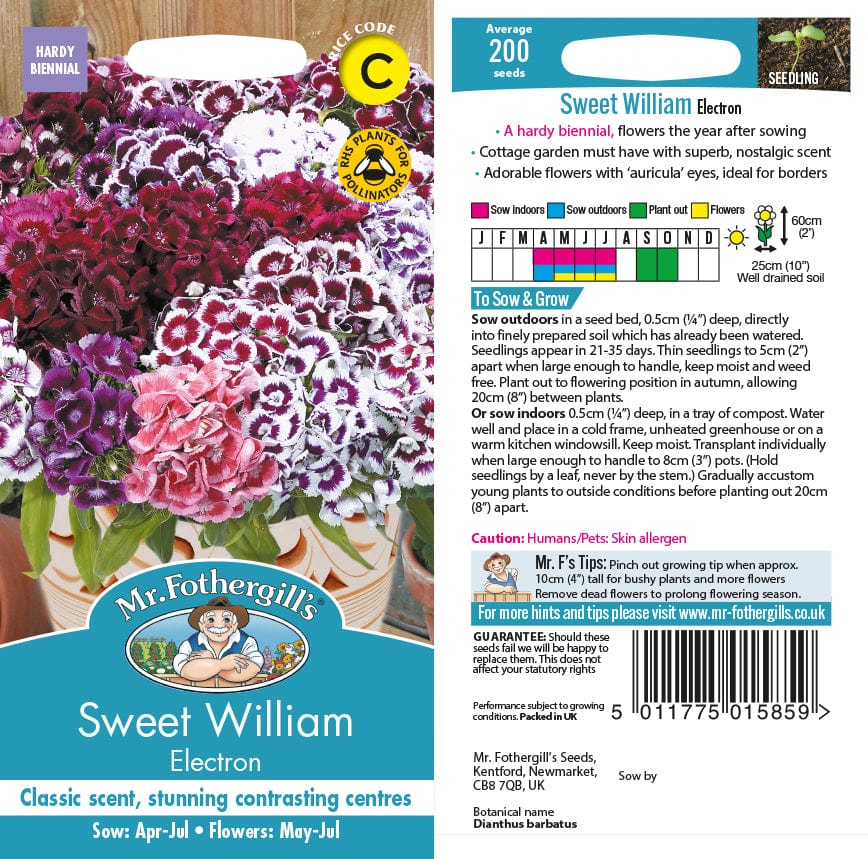 Sweet William Electron Seeds - Image 2