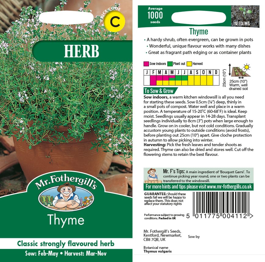 Thyme Seeds - Image 2