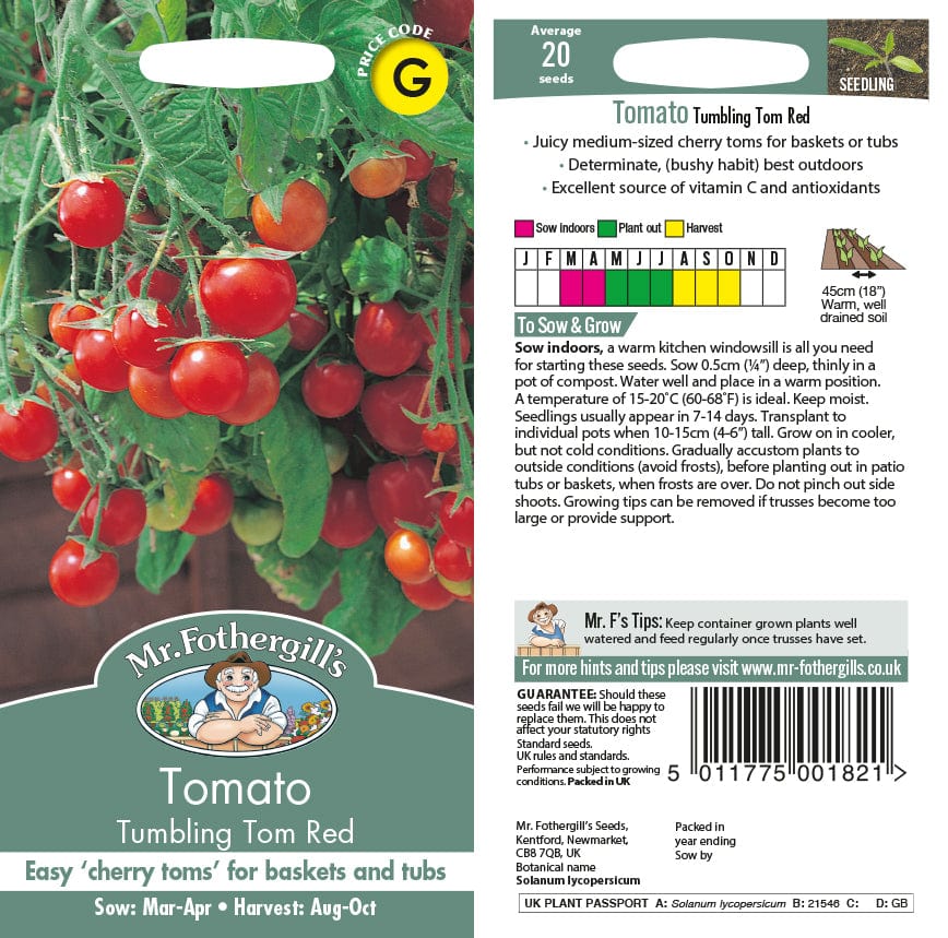 Tomato (Cherry) Tumbling Tom Red Seeds - Image 2