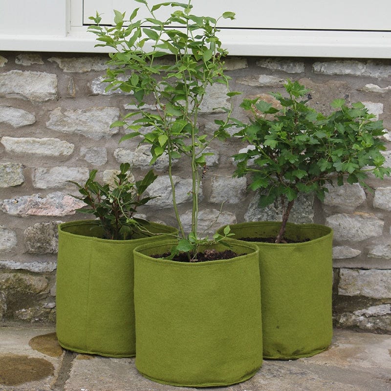 Vigoroot Pots 20ltr - Image 3