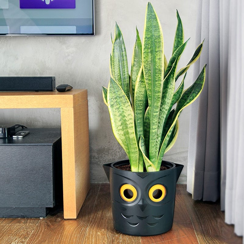 WaterMe Owl Pot - Image 2