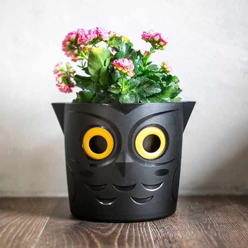 WaterMe Owl Pot - Image 3